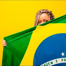 bandeira brasil seguro celular